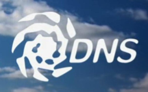 DNS Logo Die Grenze